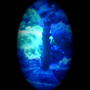 Acropora sp. t&uuml;rkis