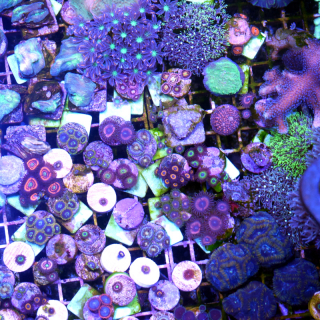 Besichtigungstermin Freitagnachmittag