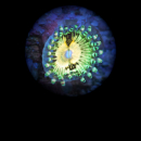 Zoanthus Butt Munchers / Pacman