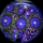 Zoanthus blauviolett neongr&uuml;n